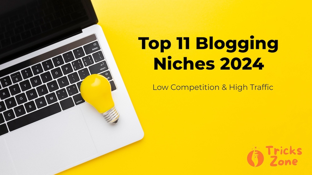 Top 11 Blogging Niches 2024 - Low Competition & High Traffic